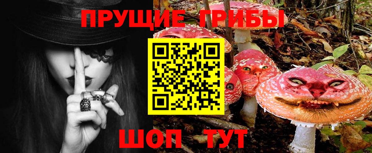 Галлюциногенные грибы MAGIC MUSHROOMS  купить наркотики цена  Тулун  Вход с VPN 